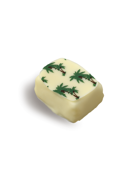 Coconut-Dream wit